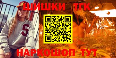 герыч Гагарин